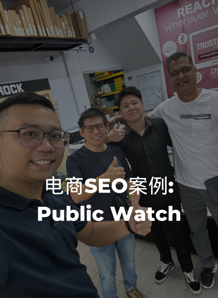 Public Watch SEO 的成功案例
